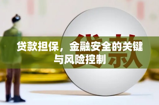 亭湖贷款担保，金融安全的关键与风险控制