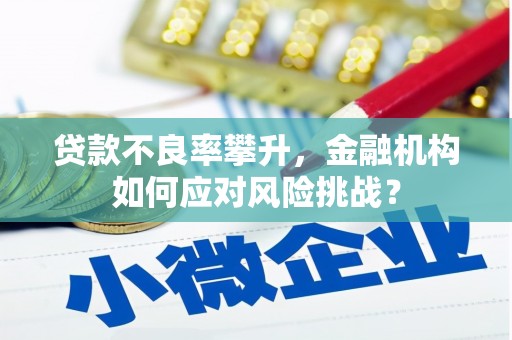 亭湖贷款不良率攀升，金融机构如何应对风险挑战？