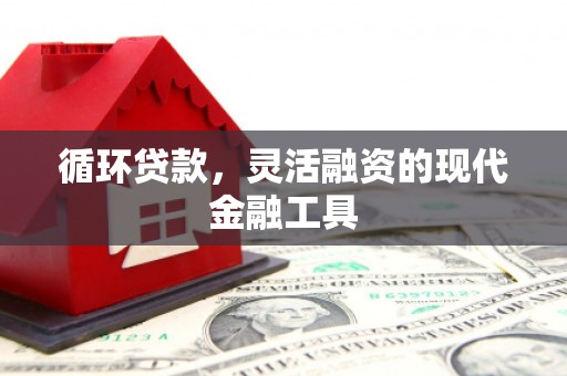 亭湖循环贷款，灵活融资的现代金融工具
