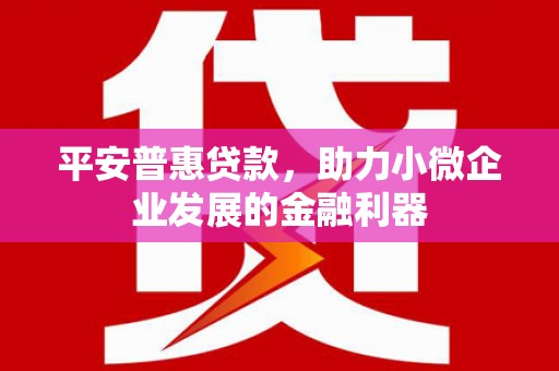 亭湖平安普惠贷款，助力小微企业发展的金融利器