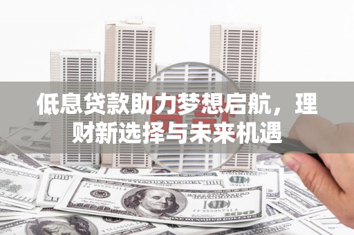 亭湖低息贷款助力梦想启航，理财新选择与未来机遇