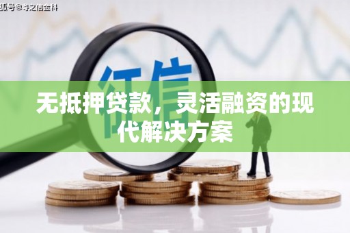 亭湖无抵押贷款，灵活融资的现代解决方案