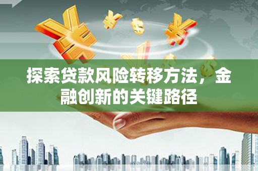 亭湖探索贷款风险转移方法，金融创新的关键路径