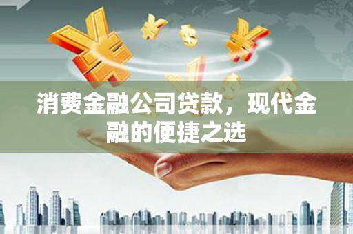 亭湖消费金融公司贷款，现代金融的便捷之选