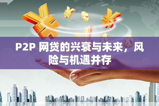 亭湖P2P 网贷的兴衰与未来，风险与机遇并存