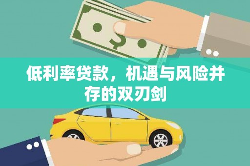 亭湖低利率贷款，机遇与风险并存的双刃剑