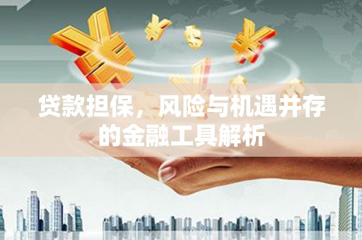 亭湖贷款担保，风险与机遇并存的金融工具解析