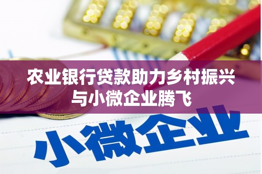 亭湖农业银行贷款助力乡村振兴与小微企业腾飞