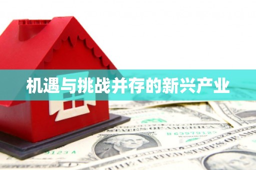 亭湖机遇与挑战并存的新兴产业