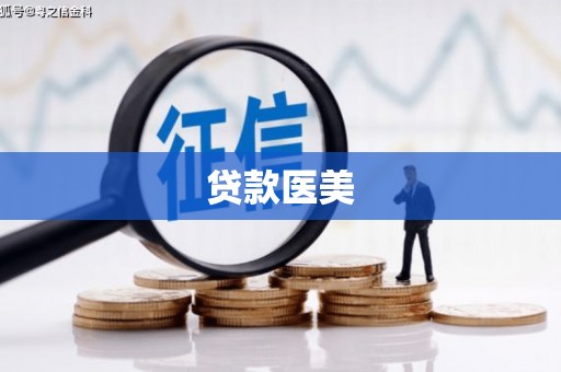 亭湖贷款医美