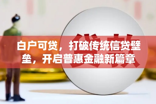 亭湖白户可贷，打破传统信贷壁垒，开启普惠金融新篇章
