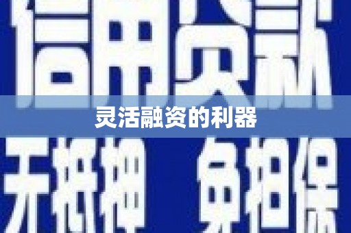 亭湖灵活融资的利器
