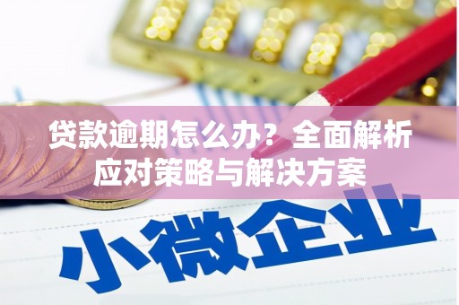 亭湖贷款逾期怎么办？全面解析应对策略与解决方案