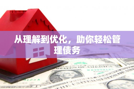 亭湖从理解到优化，助你轻松管理债务