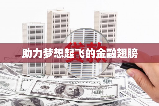 亭湖助力梦想起飞的金融翅膀