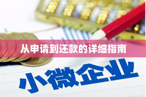 亭湖从申请到还款的详细指南