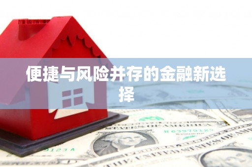 亭湖便捷与风险并存的金融新选择