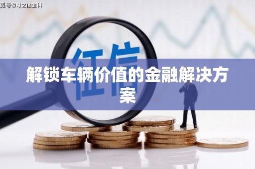 亭湖解锁车辆价值的金融解决方案