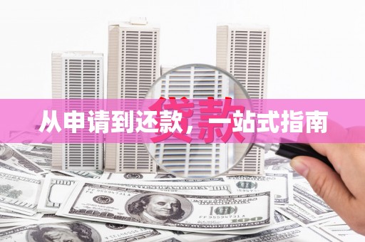 亭湖从申请到还款，一站式指南