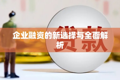 亭湖企业融资的新选择与全面解析