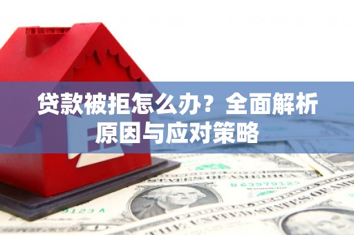 亭湖贷款被拒怎么办？全面解析原因与应对策略