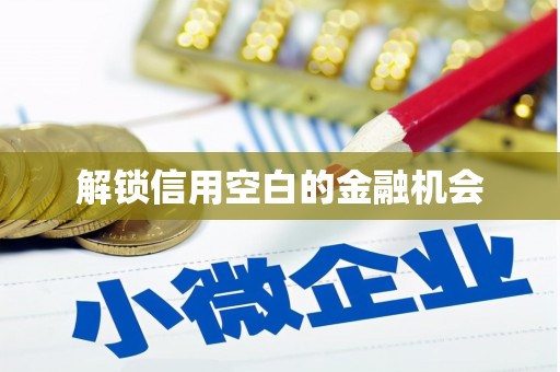 亭湖解锁信用空白的金融机会