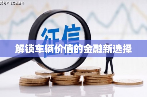 亭湖解锁车辆价值的金融新选择