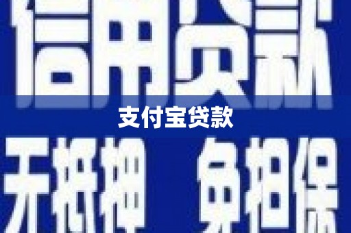 亭湖支付宝贷款