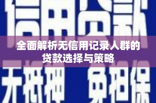 亭湖全面解析无信用记录人群的贷款选择与策略