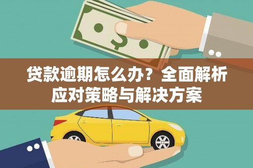 亭湖贷款逾期怎么办？全面解析应对策略与解决方案