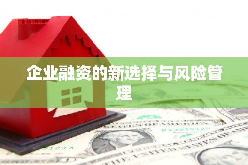 亭湖企业融资的新选择与风险管理