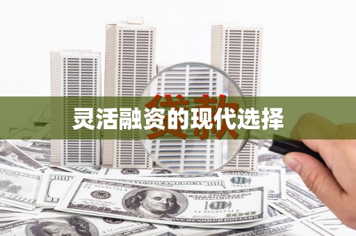 亭湖灵活融资的现代选择