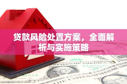 亭湖贷款风险处置方案，全面解析与实施策略
