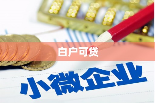 亭湖白户可贷