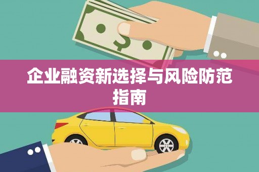 亭湖企业融资新选择与风险防范指南