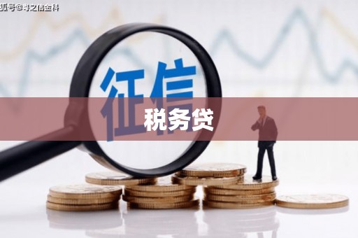 亭湖税务贷