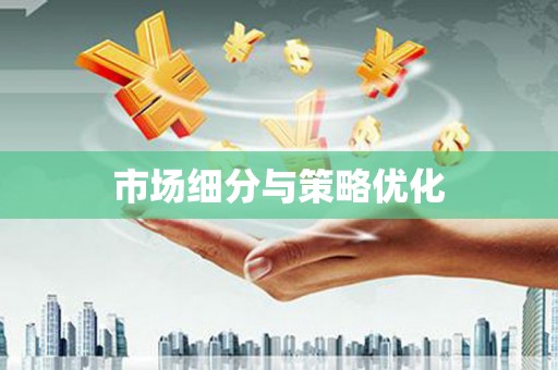 亭湖市场细分与策略优化
