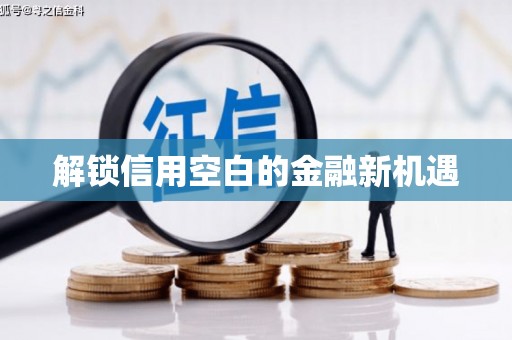 亭湖解锁信用空白的金融新机遇