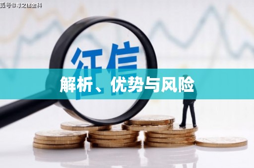 亭湖解析、优势与风险
