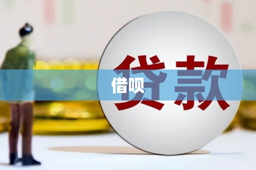 亭湖借呗