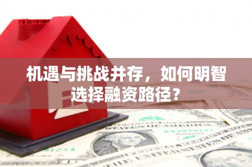 亭湖机遇与挑战并存，如何明智选择融资路径？