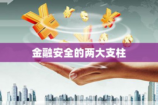 亭湖金融安全的两大支柱