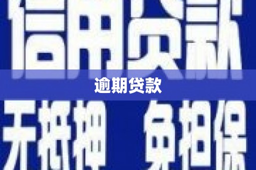亭湖逾期贷款