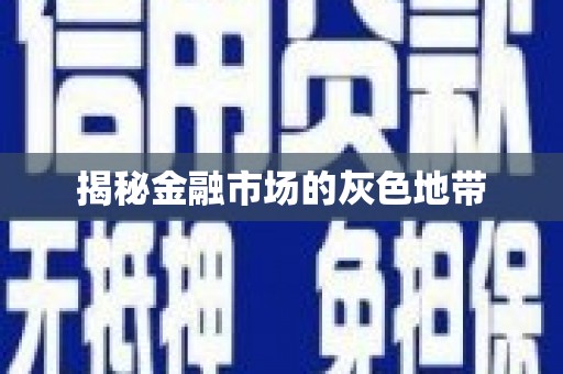 亭湖揭秘金融市场的灰色地带