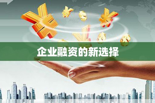 亭湖企业融资的新选择