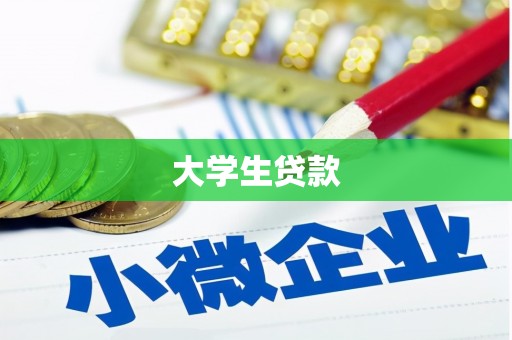 亭湖大学生贷款
