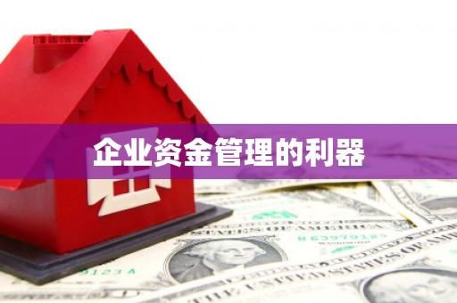 亭湖企业资金管理的利器