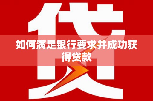 亭湖如何满足银行要求并成功获得贷款