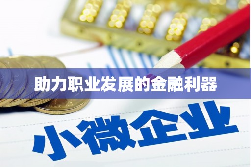 亭湖助力职业发展的金融利器