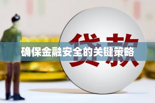 亭湖确保金融安全的关键策略